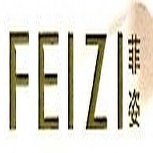 上海菲姿服饰有限公司的图标